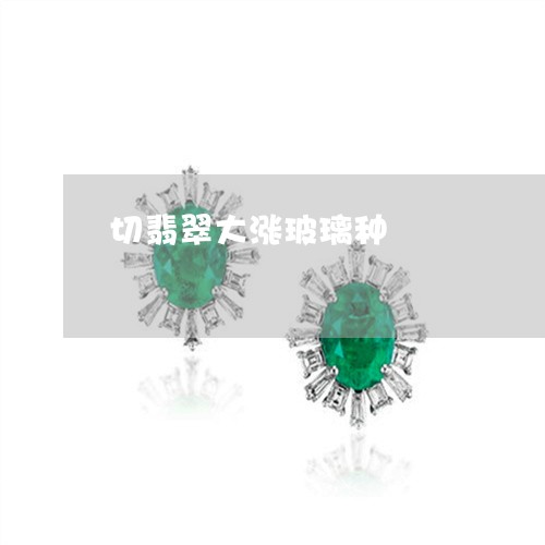 切翡翠大涨玻璃种/2023020166370 切翡翠大涨玻璃种/2023020166370