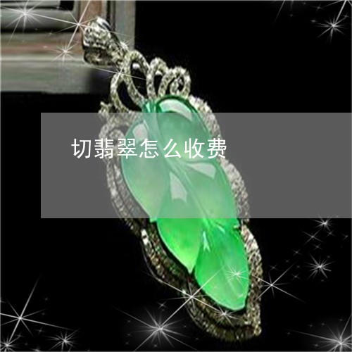 切翡翠怎么收费/2023040539149