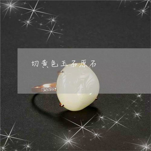 切黄色玉石原石/2023040528481 切黄色玉石原石/2023040528481