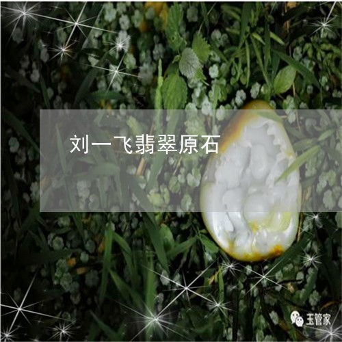 刘一飞翡翠原石/2023040566171 刘一飞翡翠原石/2023040566171