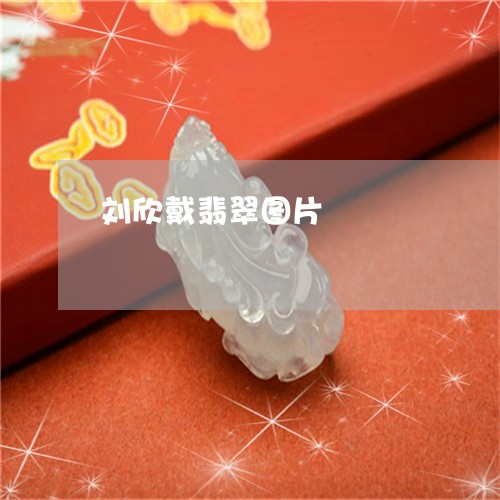 刘欣戴翡翠图片/2023040595925 刘欣戴翡翠图片/2023040595925
