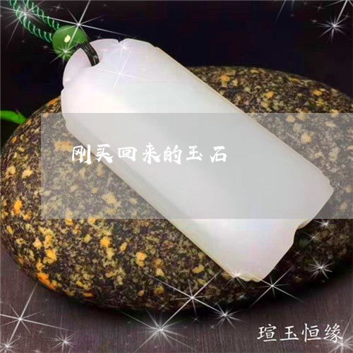 刚买回来的玉石/2023040521693 刚买回来的玉石/2023040521693