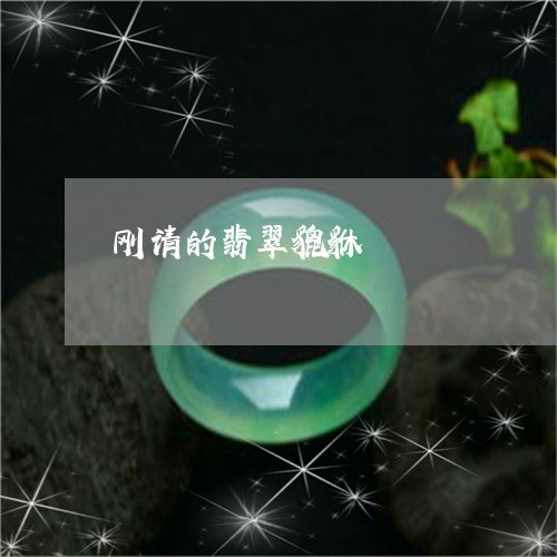 刚请的翡翠貔貅/2023040553682