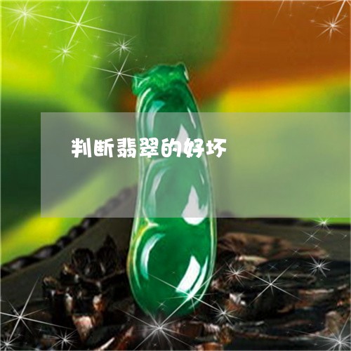 判断翡翠的好坏/2023040584835 判断翡翠的好坏/2023040584835