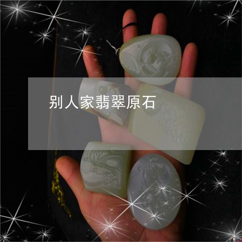 别人家翡翠原石/2023040527272 别人家翡翠原石/2023040527272