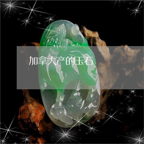 加拿大产的玉石/2023040459492 加拿大产的玉石/2023040459492