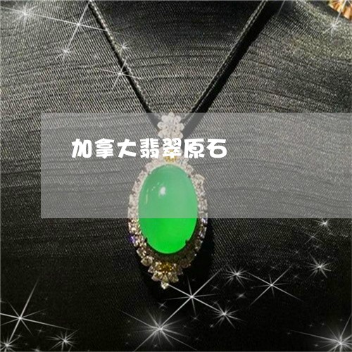 加拿大翡翠原石/2023040417047
