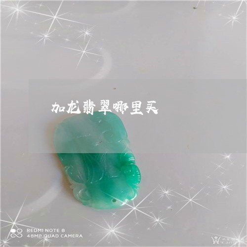 加龙翡翠哪里买/2023040465715