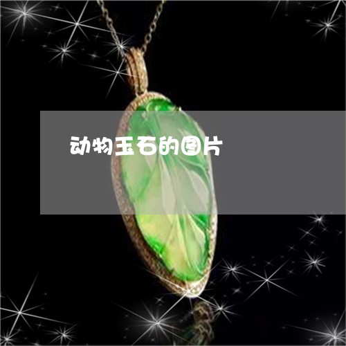 动物玉石的图片/2023040455139