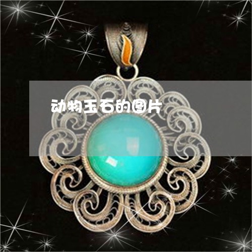 动物玉石的图片/2023040493837