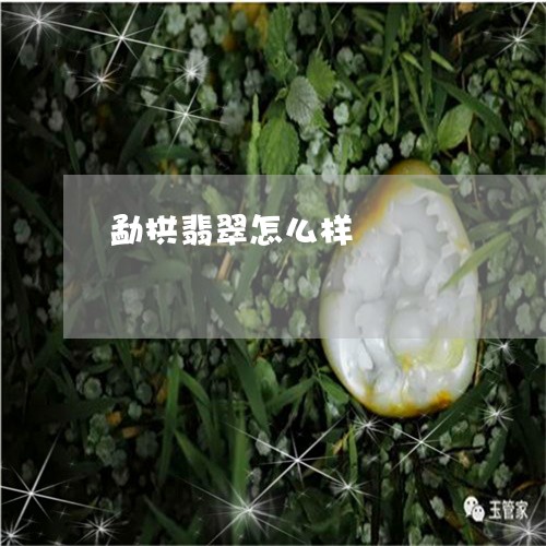 勐拱翡翠怎么样/2023040403717