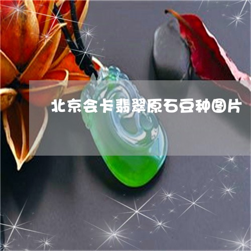 北京会卡翡翠原石豆种图片/2023061999281 北京会卡翡翠原石豆种图片/2023061999281