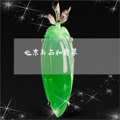 北京玉石和翡翠/2023040418482