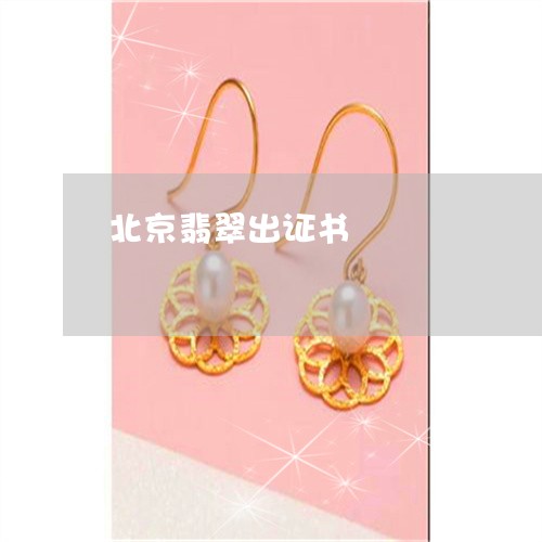 北京翡翠出证书/2023040420460 北京翡翠出证书/2023040420460