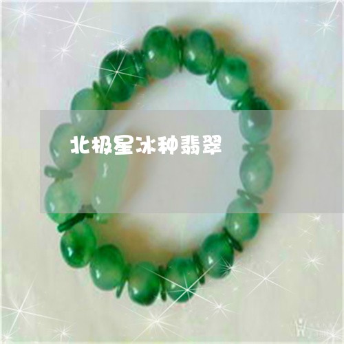 北极星冰种翡翠/2023040443827