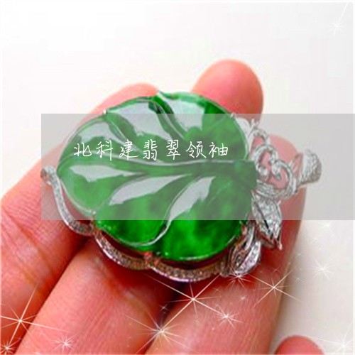 北科建翡翠领袖/2023040461606