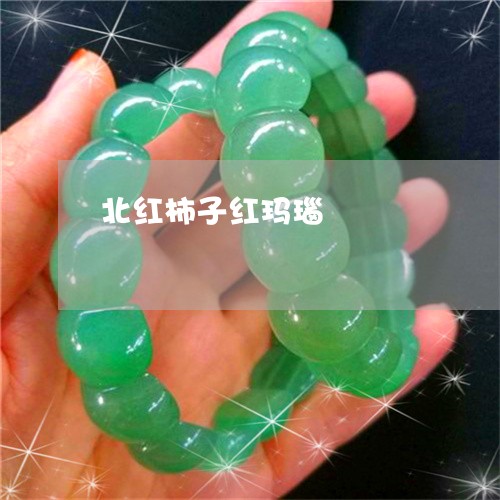 北红柿子红玛瑙/2023040407051
