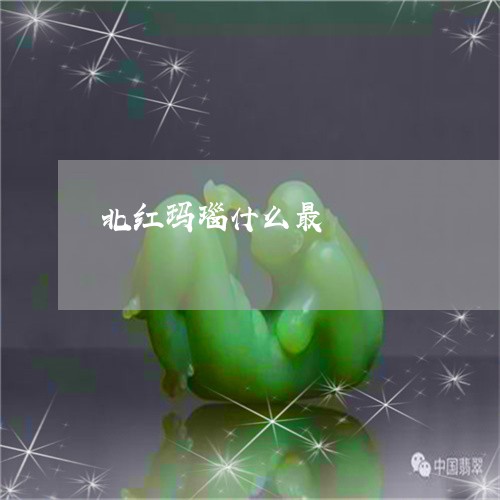 北红玛瑙什么最/2023040471795 北红玛瑙什么最/2023040471795