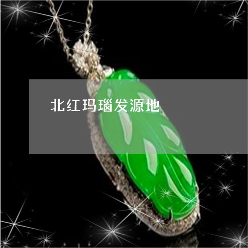 北红玛瑙发源地/2023040486059 北红玛瑙发源地/2023040486059