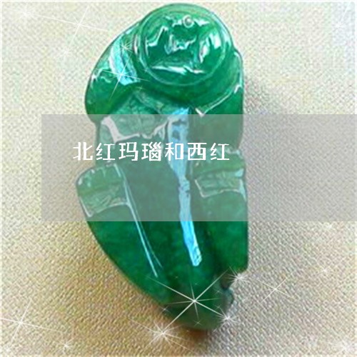 北红玛瑙和西红/2023040457461 北红玛瑙和西红/2023040457461