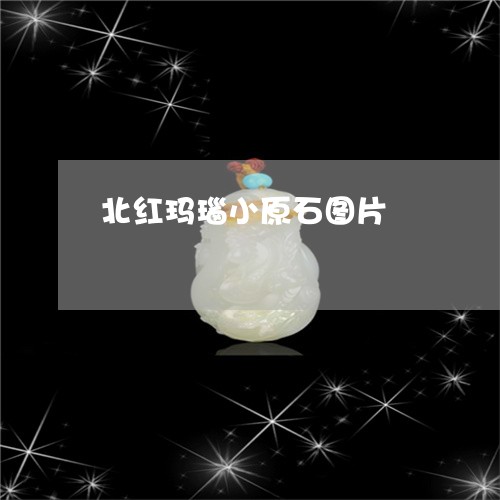 北红玛瑙小原石图片/2023042161583