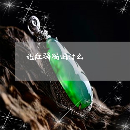 北红玛瑙怕什么/2023040462616 北红玛瑙怕什么/2023040462616