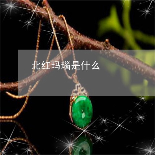 北红玛瑙是什么/2023040405947 北红玛瑙是什么/2023040405947