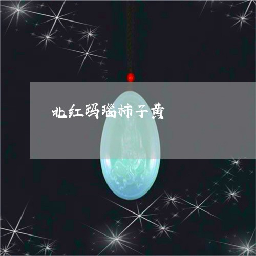 北红玛瑙柿子黄/2023040471703 北红玛瑙柿子黄/2023040471703