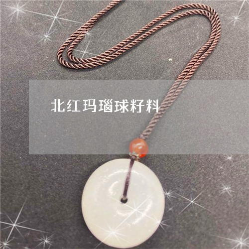 北红玛瑙球籽料/2023040474028 北红玛瑙球籽料/2023040474028