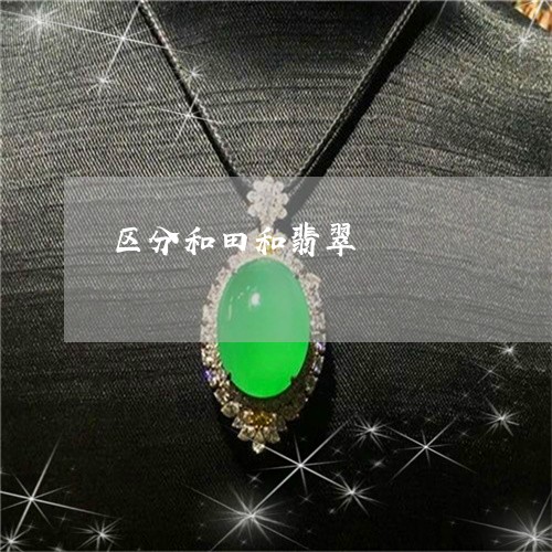 区分和田和翡翠/2023040454948