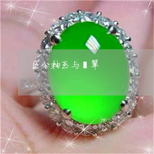区分釉玉与翡翠/2023040417247