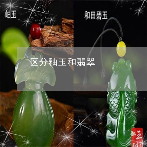 区分釉玉和翡翠/2023040404936