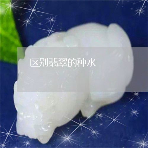 区别翡翠的种水/2023040483695