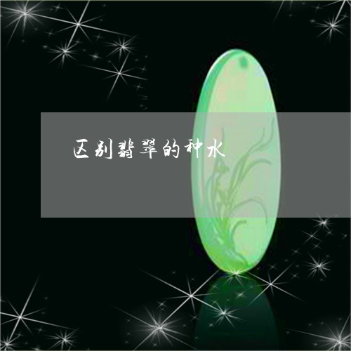区别翡翠的种水/2023040486837