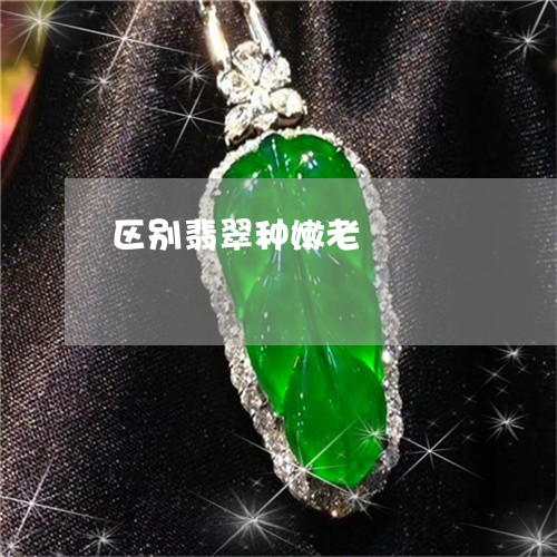 区别翡翠种嫩老/2023040496161 区别翡翠种嫩老/2023040496161