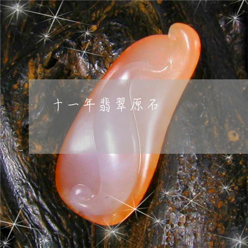 十一年翡翠原石/2023040441493 十一年翡翠原石/2023040441493