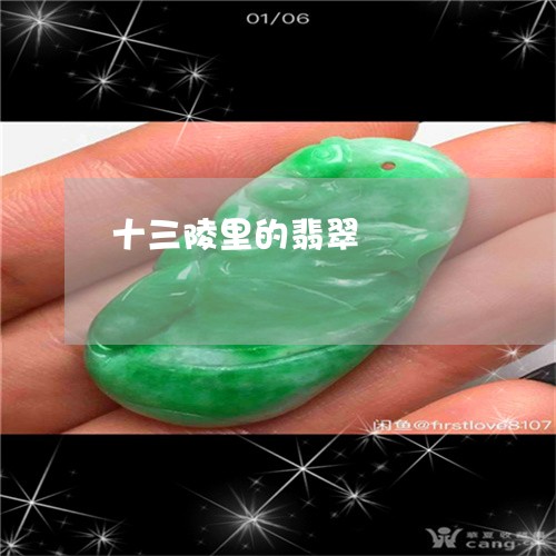 十三陵里的翡翠/2023040452672 十三陵里的翡翠/2023040452672