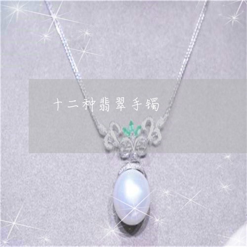 十二种翡翠手镯/2023040469382 十二种翡翠手镯/2023040469382