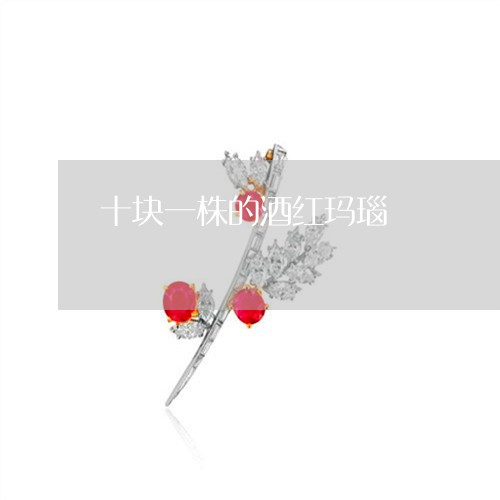 十块一株的酒红玛瑙/2023042347148 十块一株的酒红玛瑙/2023042347148