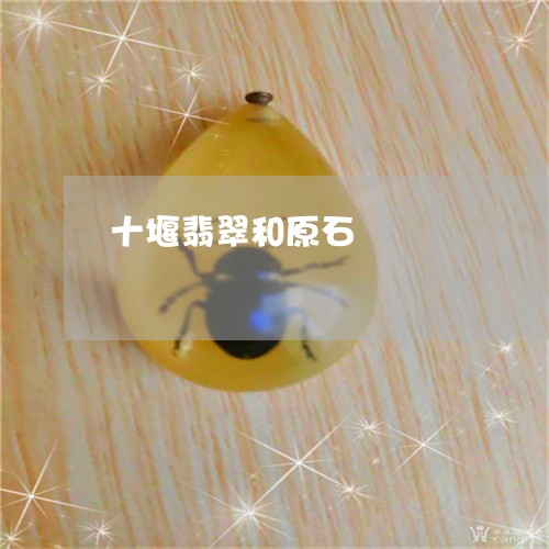 十堰翡翠和原石/2023040403736
