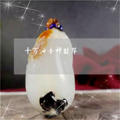 千万油青种翡翠/2023040494038
