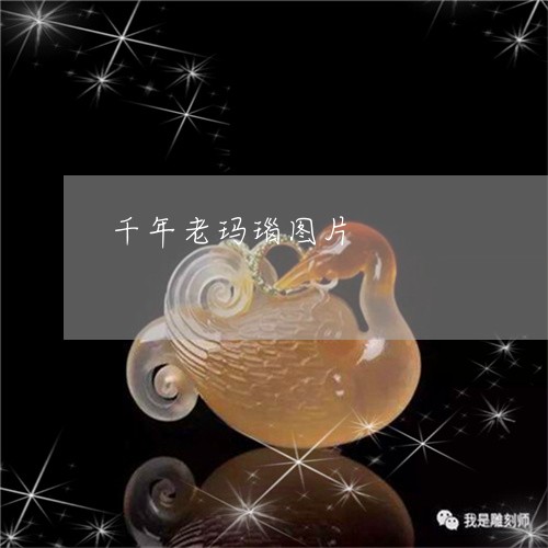 千年老玛瑙图片/2023040425040 千年老玛瑙图片/2023040425040