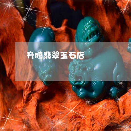 升腾翡翠玉石店/2023040427158