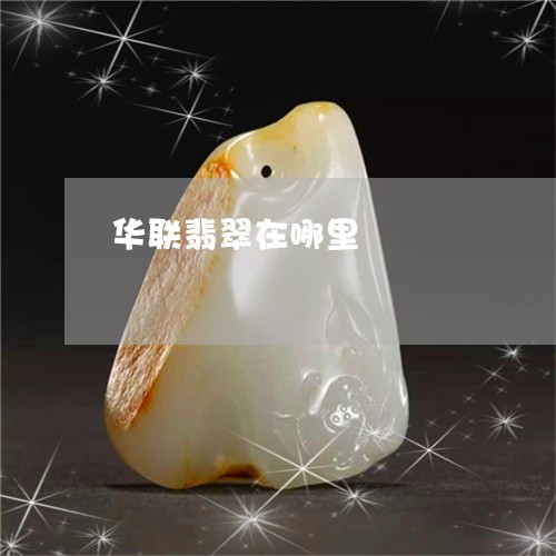 华联翡翠在哪里/2023040478259 华联翡翠在哪里/2023040478259
