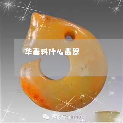 华青料什么翡翠/2023040488269