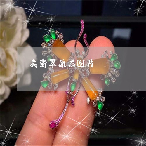 卖翡翠原石图片/2023040439368