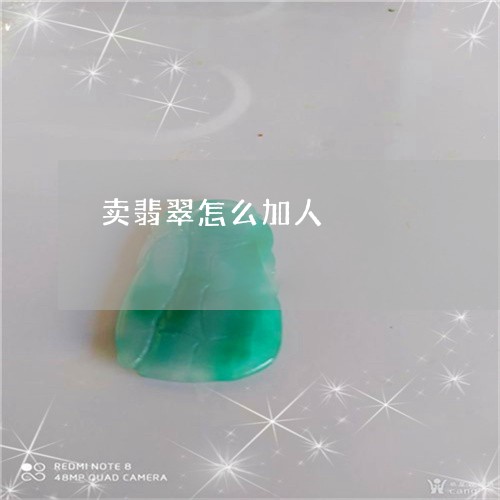 卖翡翠怎么加人/2023040459471 卖翡翠怎么加人/2023040459471