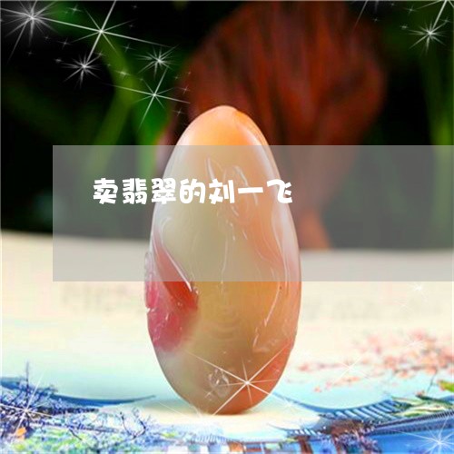 卖翡翠的刘一飞/2023040427268