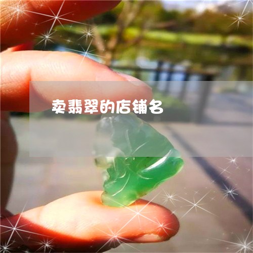 卖翡翠的店铺名/2023040489279 卖翡翠的店铺名/2023040489279
