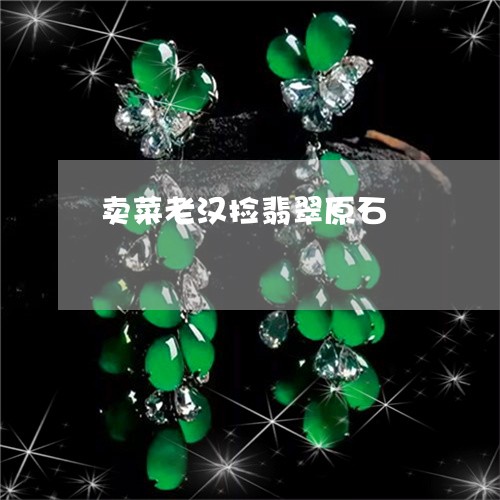 卖菜老汉捡翡翠原石/2023042294148